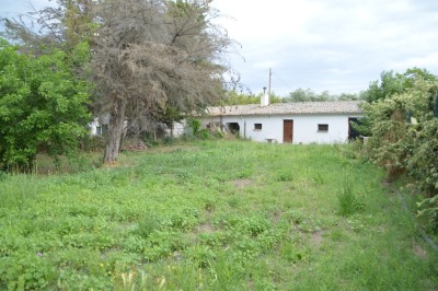 Dettagli